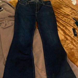 American Eagle Flare Jeans High Rise Long